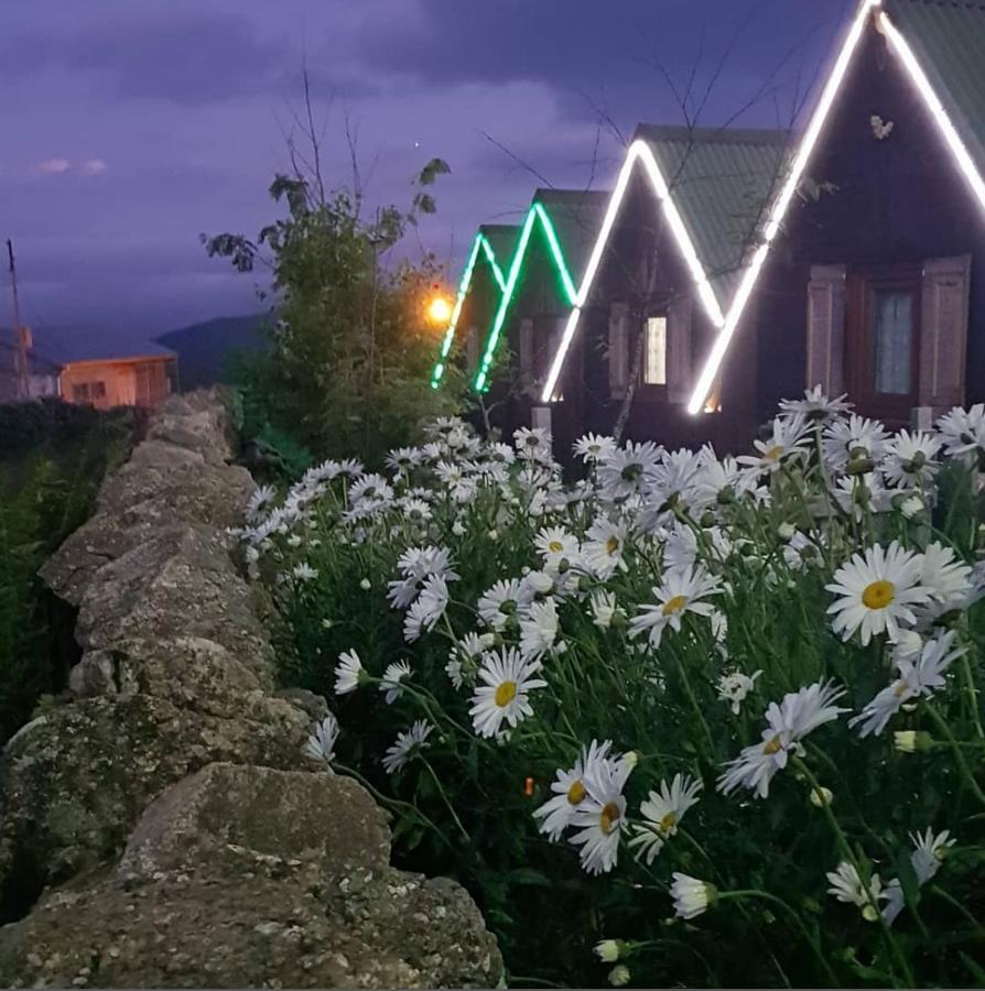 Birlik Yaylakent Caykara Экстерьер фото